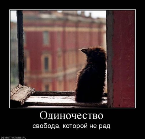 http://cs939.vkontakte.ru/u1141581/94052099/x_c7e5d51d.jpg